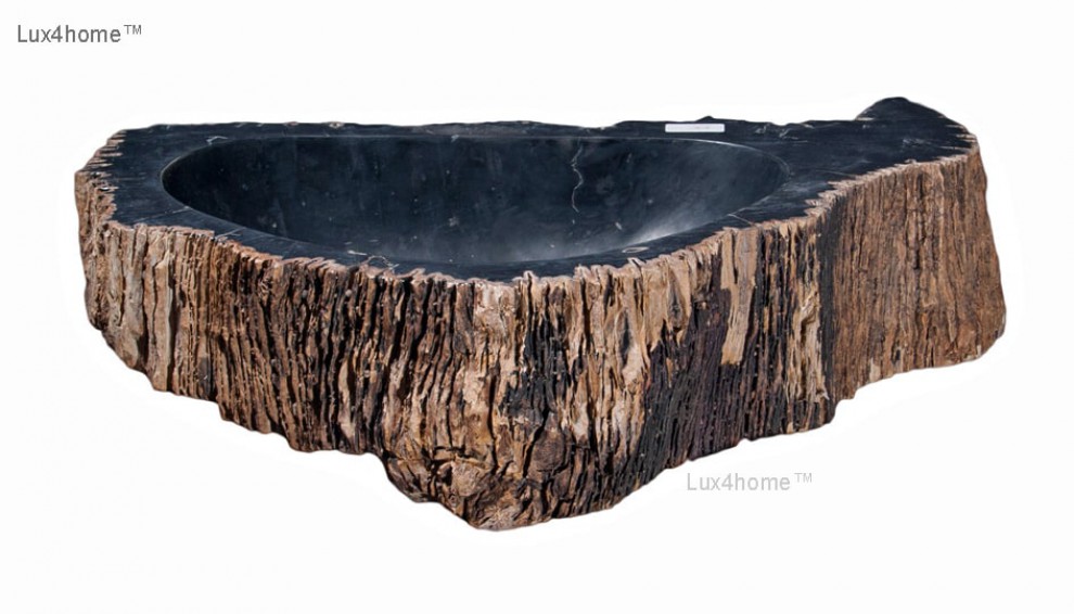 Kamienna umywalka - skamieniale drewno